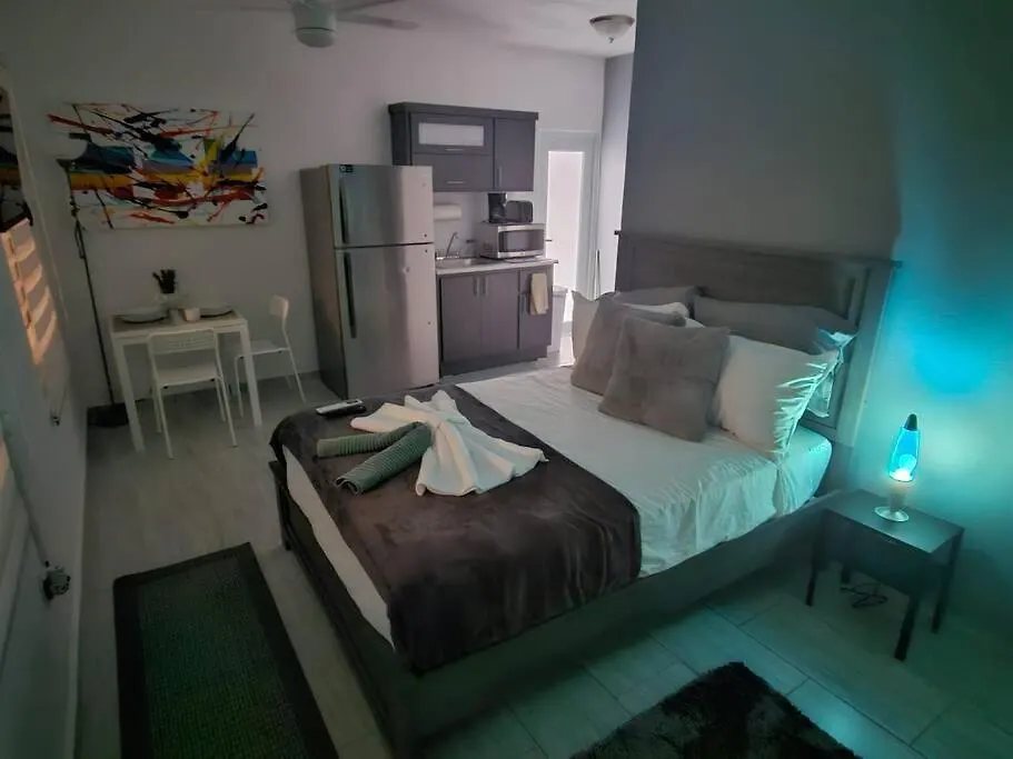 Urban Lodgings One @ Roosevelt 457 location